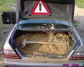 /album/srandovni-a-hloupe-napady/mercedes-to-transport-sand-jpg/